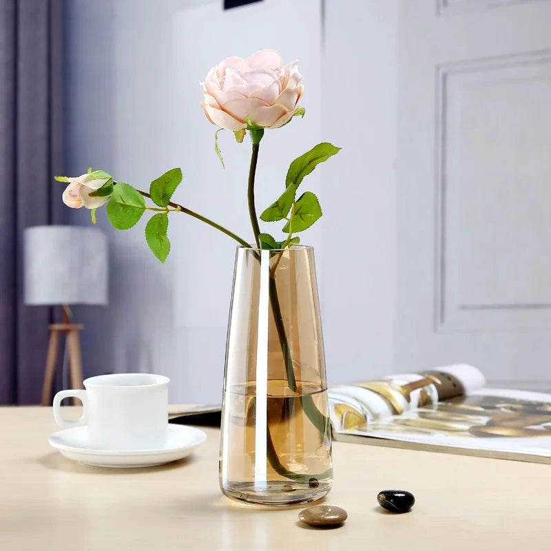 Transparent Glass Vase Julia M LifeStyles